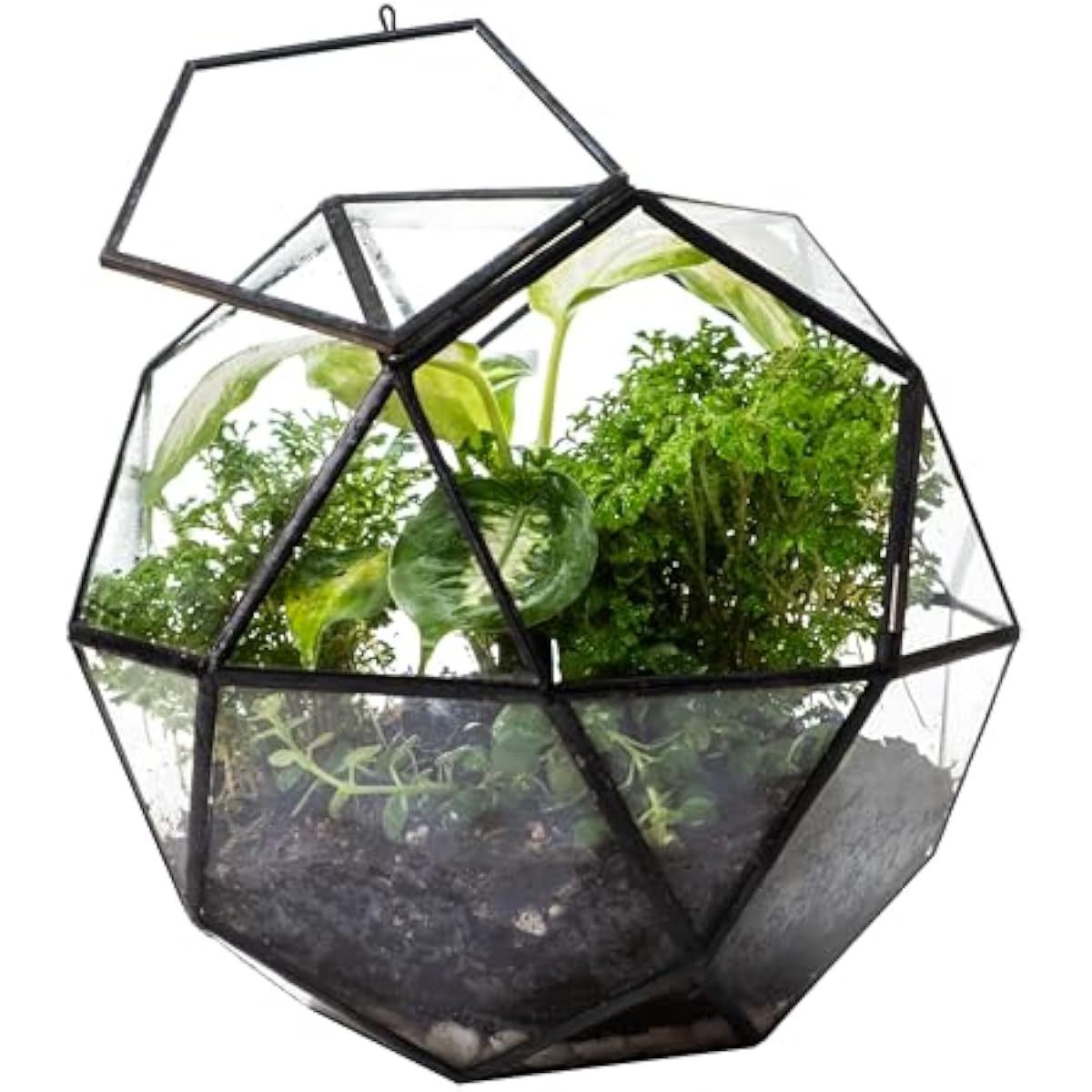 Glass Door Hinge - Geometric sphere terrarium with hinged door