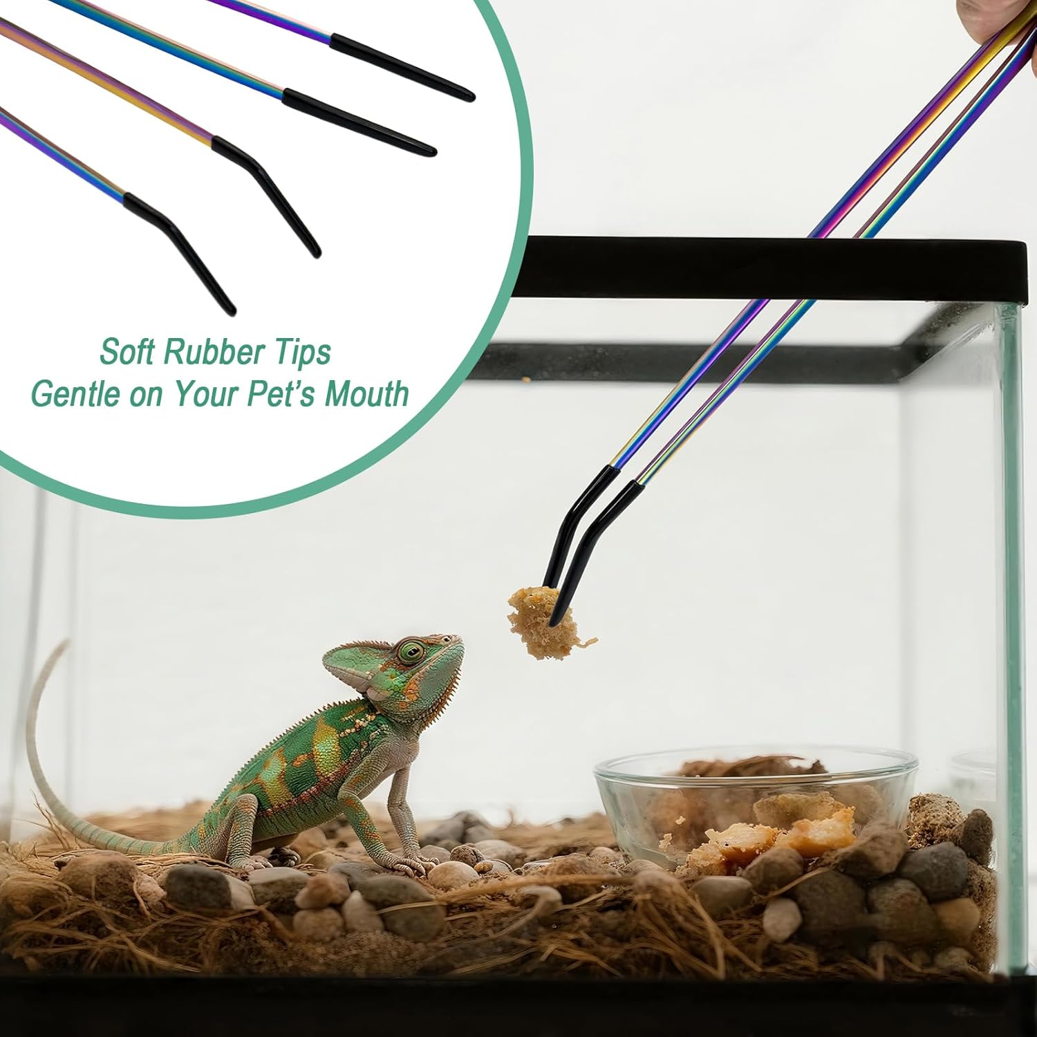 2PCS Stainless Steel Reptile F - đánh giá và giá Feeding Tong Stainless