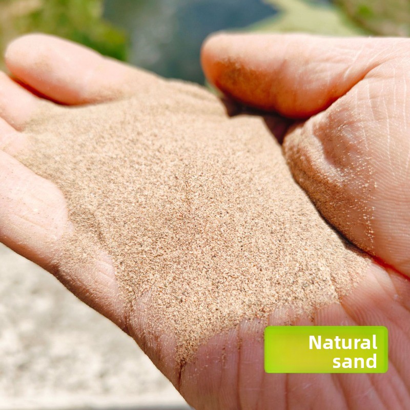Reptile Sand Calcium Sand for  - đánh giá và giá Calcium Powder Reptile