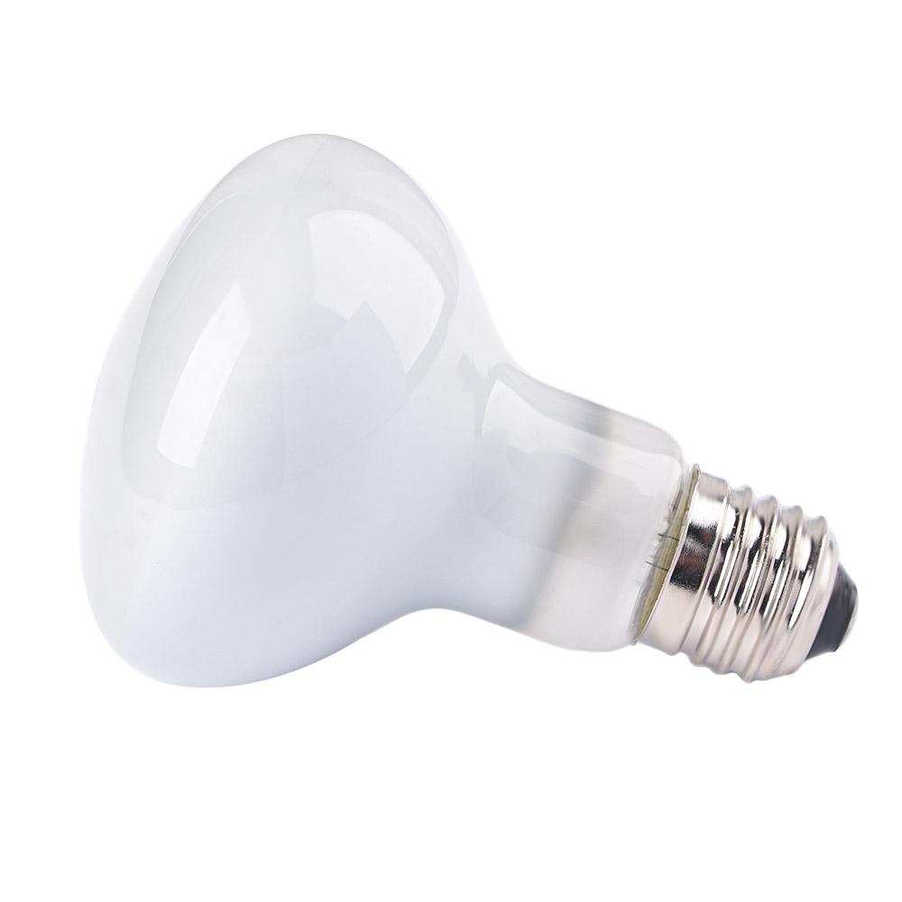 Amphibians Heater Heat Lamp UV - đánh giá và giá Basking Bulb Halogen
