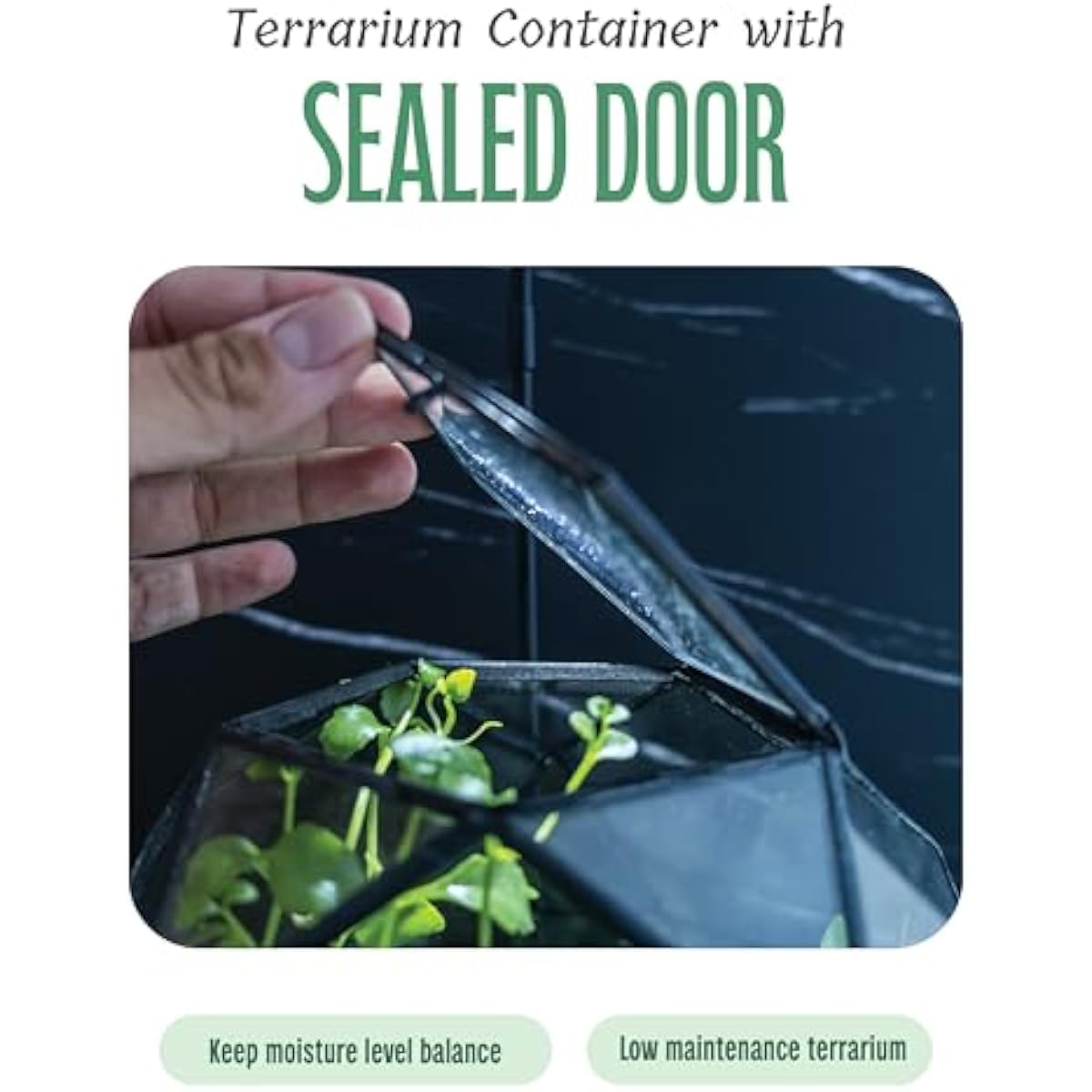 Geometric sphere terrarium wit - đánh giá và giá Glass Door Hinge