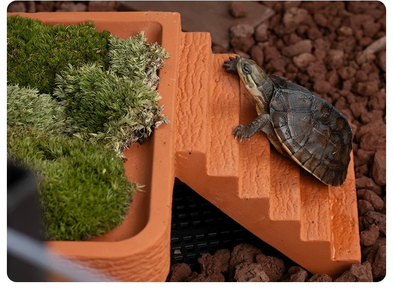 Aquarium Turtle Basking Platfo - đánh giá và giá Hide Cave Ceramic