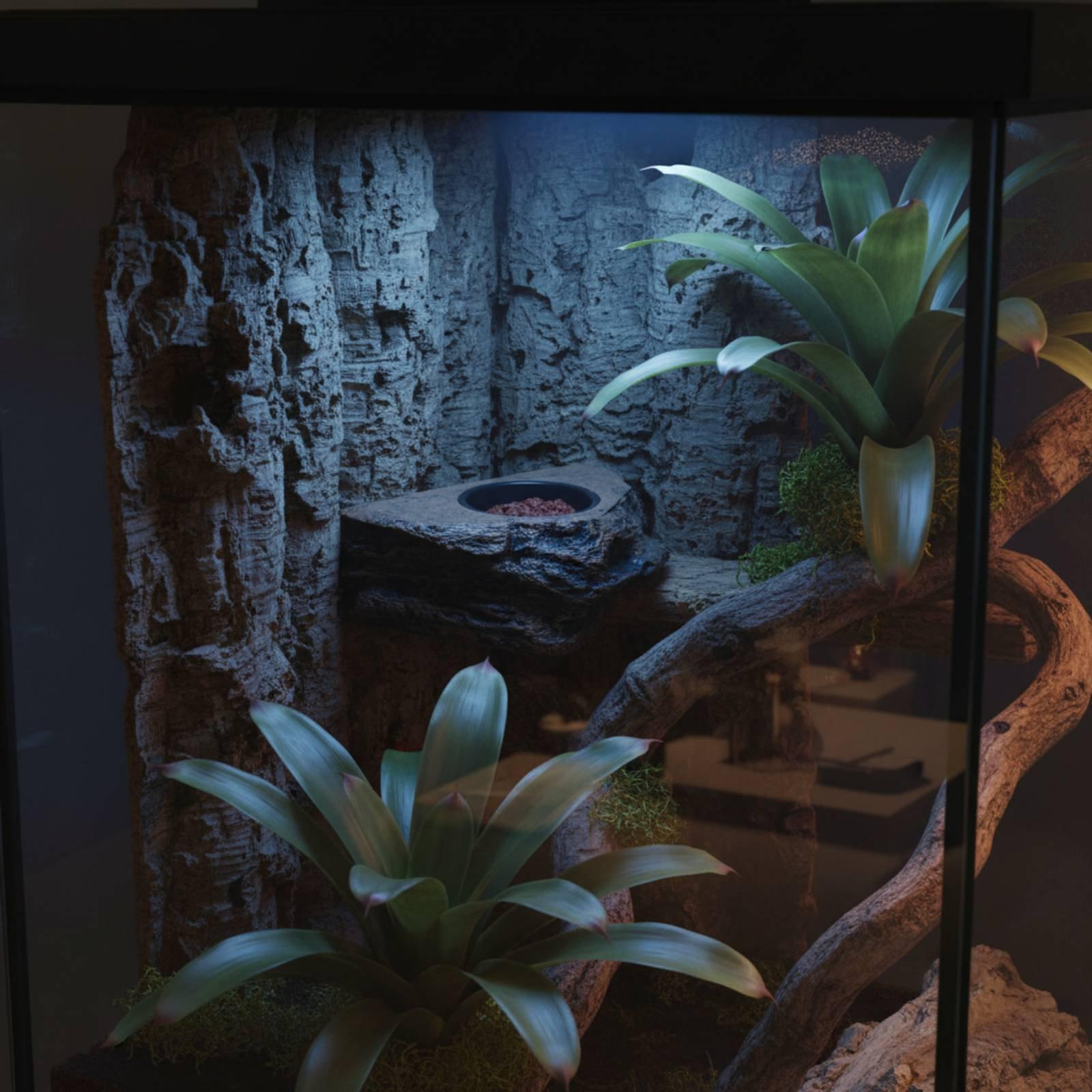 Gecko Food and Water Shelf Adj - đánh giá và giá Water Dish Reptile