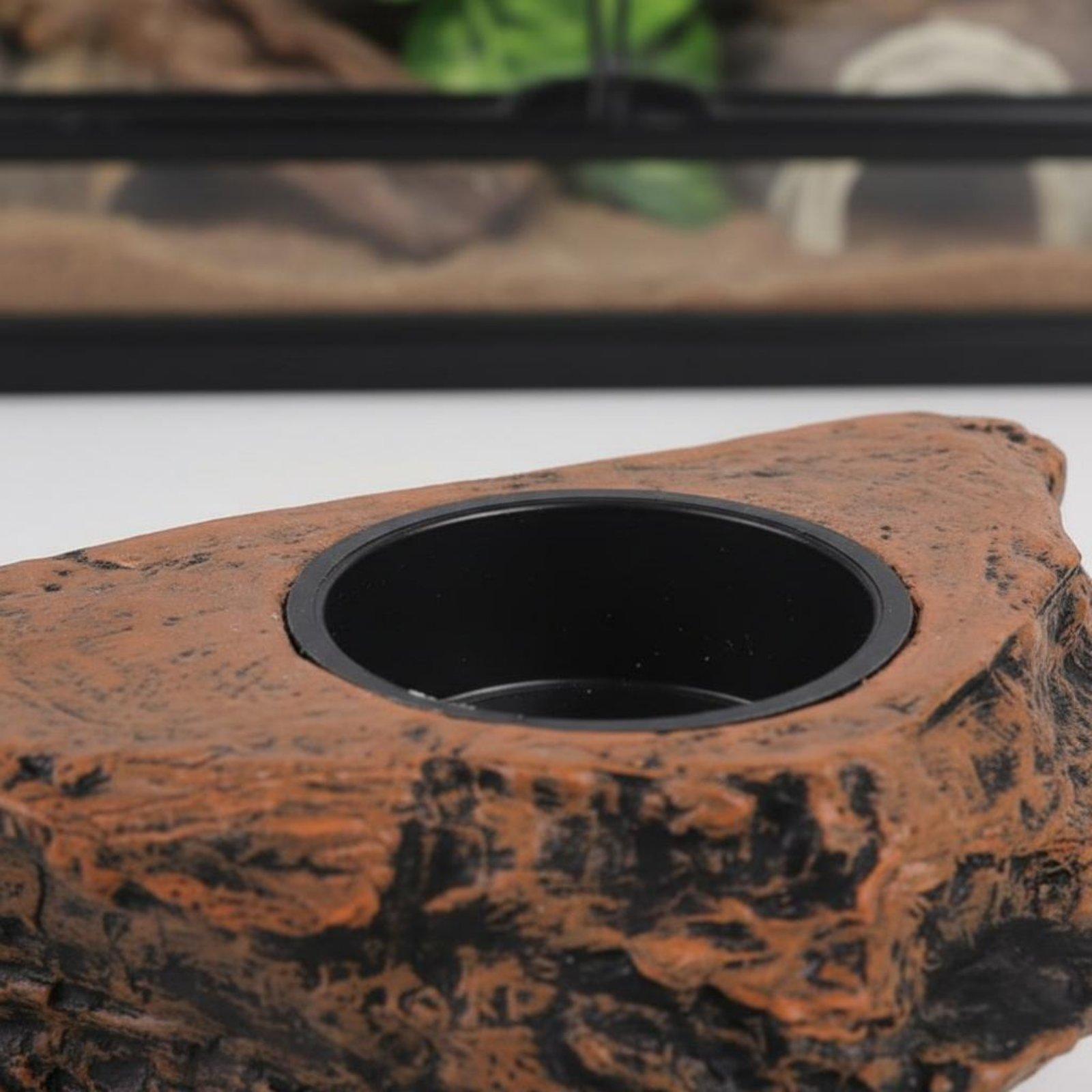 Gecko Food and Water Shelf Adj - đánh giá và giá Water Dish Reptile
