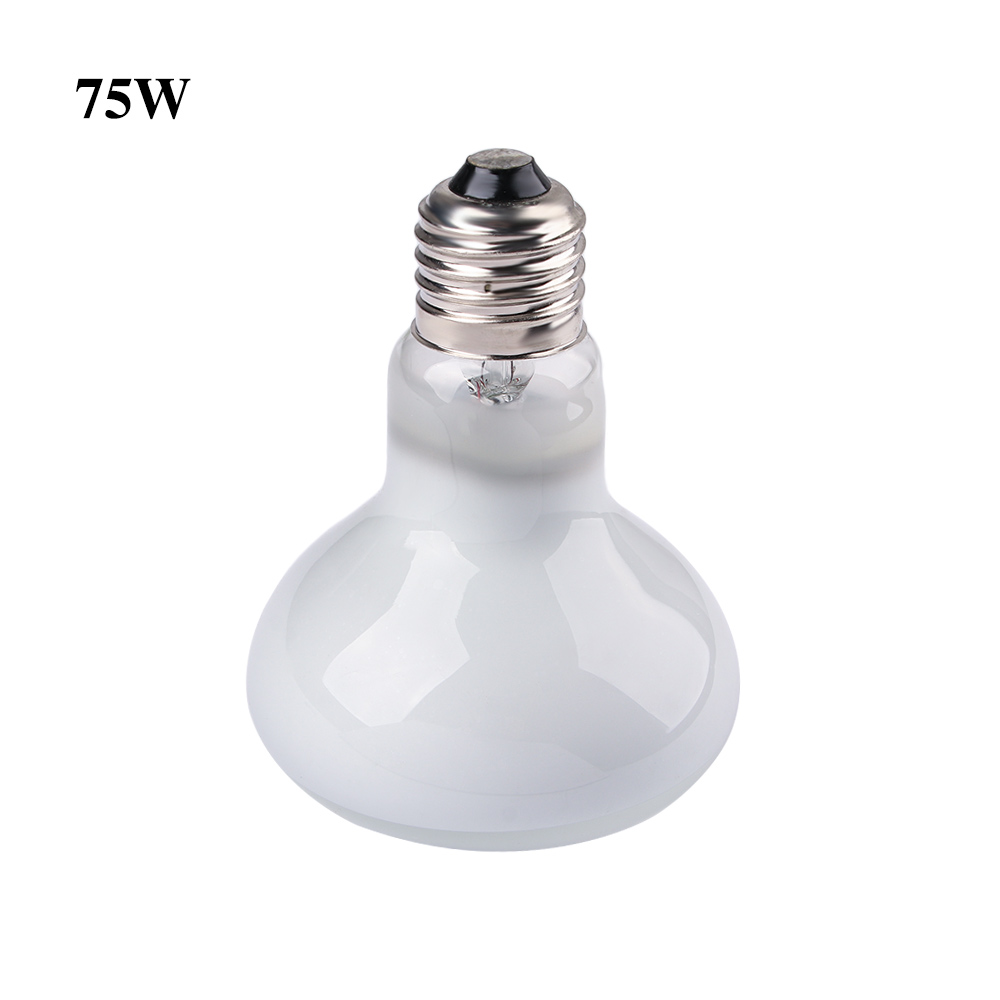 Turtle Heat Lamp Heater Haloge - đánh giá và giá Basking Bulb Halogen
