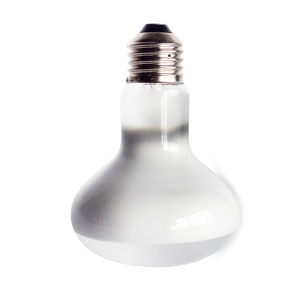 Turtle Heat Lamp Heater Haloge - đánh giá và giá Basking Bulb Halogen
