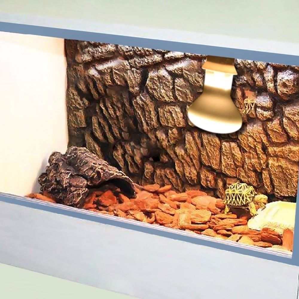 Amphibians Temperature Control - đánh giá và giá Basking Bulb Halogen