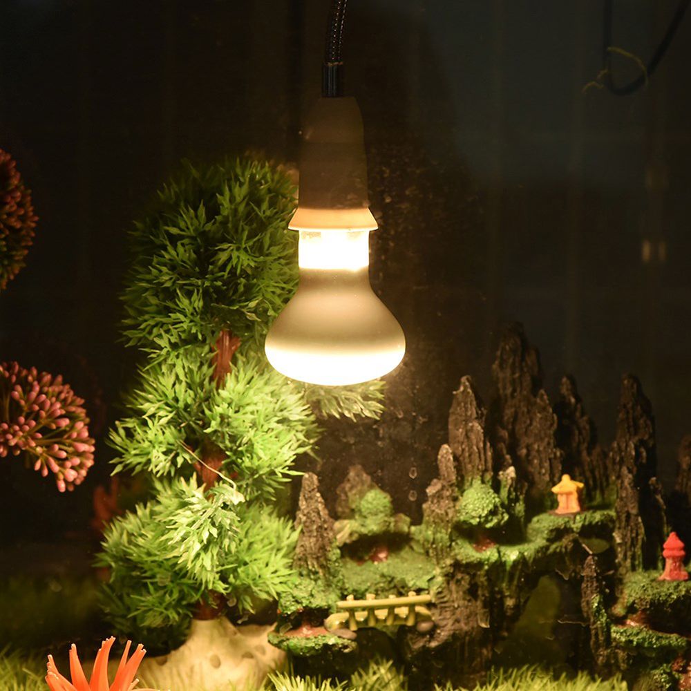 Amphibians Temperature Control - đánh giá và giá Basking Bulb Halogen