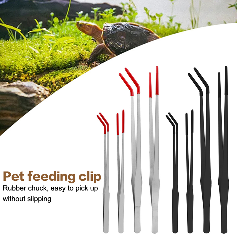 Stainless Steel Reptile Feedin - đánh giá và giá Feeding Tong Stainless