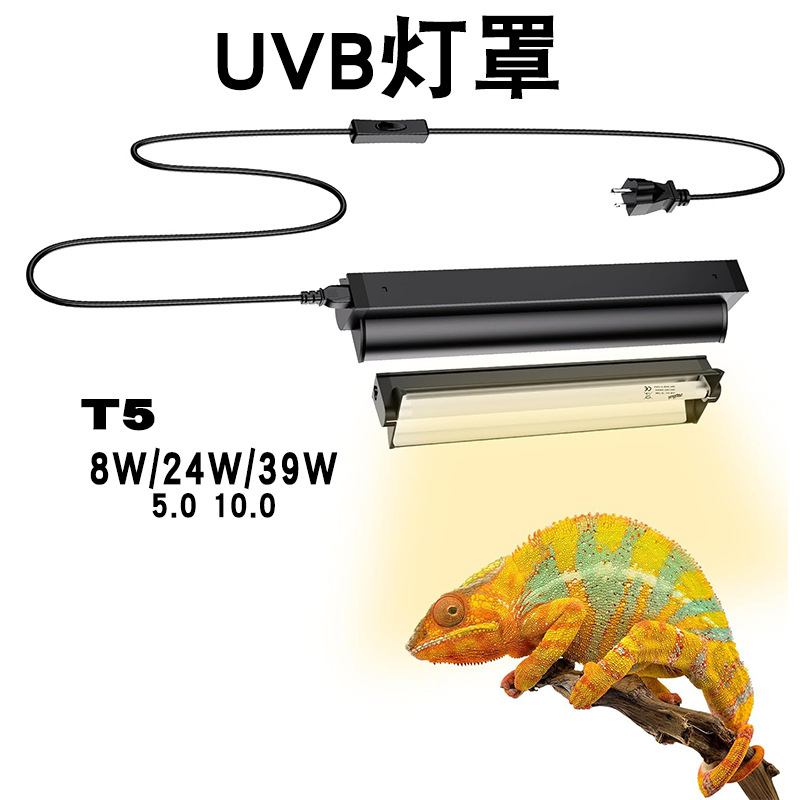 T5 UVB Tube With Integrated Fi - đánh giá và giá Calcium Powder Reptile
