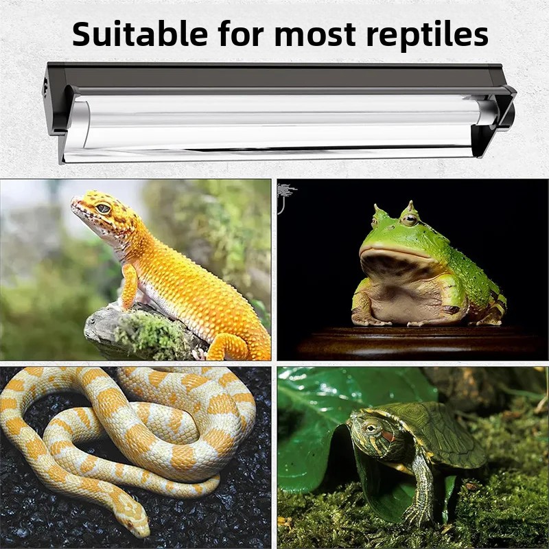 T5 UVB Tube With Integrated Fi - đánh giá và giá Calcium Powder Reptile